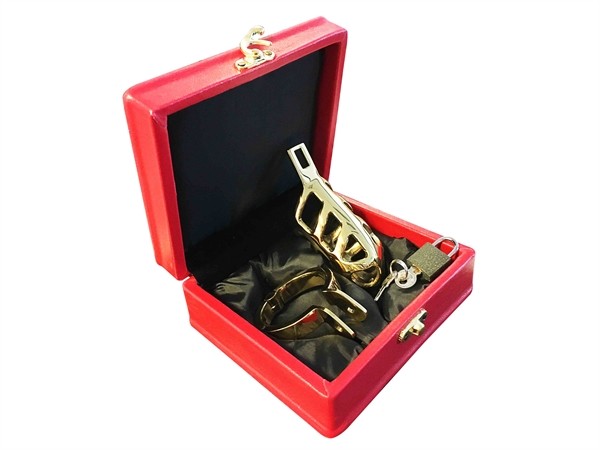 Brutal Stainless Steel Chastity Cage: Peniskäfig, gold - vergleichen und günstig kaufen